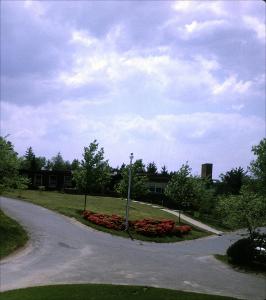 wpuSlides_0191derived.jpg.jpg