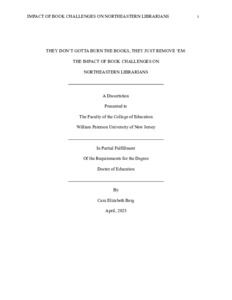 Berg_NortheastLibrarianBookChallenges.pdf.jpg