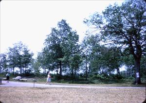 wpuSlides_0141derived.jpg.jpg