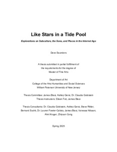 Saunders_LikeStars.pdf.jpg