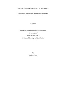 Pierce_HeelElevatiionEffects.pdf.jpg