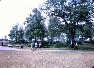 wpuSlides_0143derived.jpg.jpg